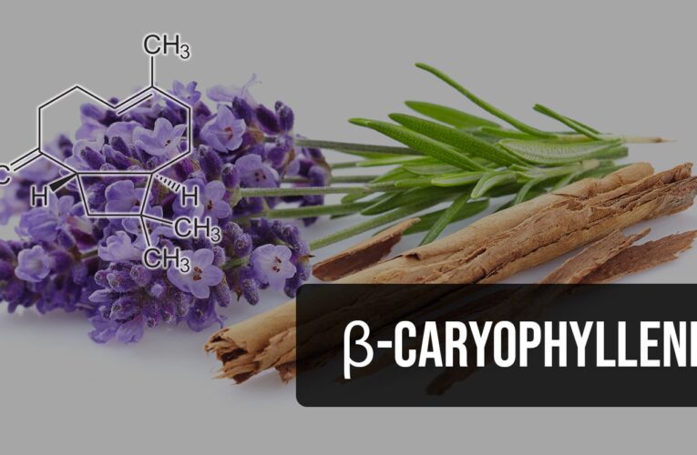 beta-caryophyllene